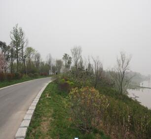 沣河良家滩堤防整治工程堤顶路