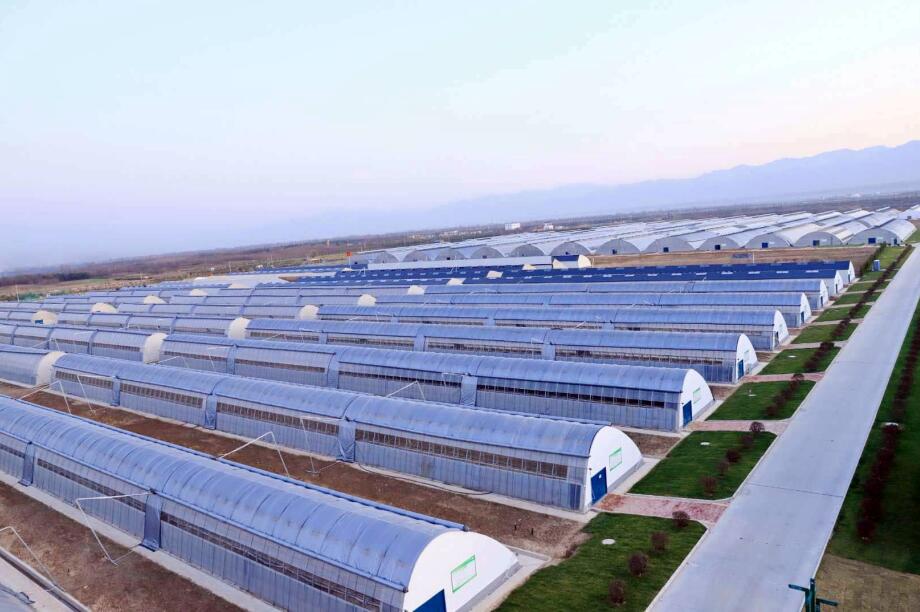 杨凌智慧农业示范园日光温室及大跨度单栋拱棚项目