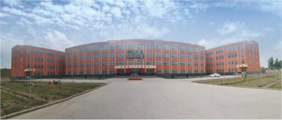 莎车县托木吾斯塘镇智慧小学建设项目